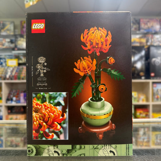 Chrysanthemum, 10368 - Botanicals Set