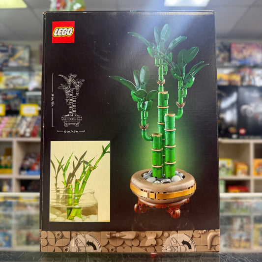 Lucky Bamboo, 10344 - Botanicals Set