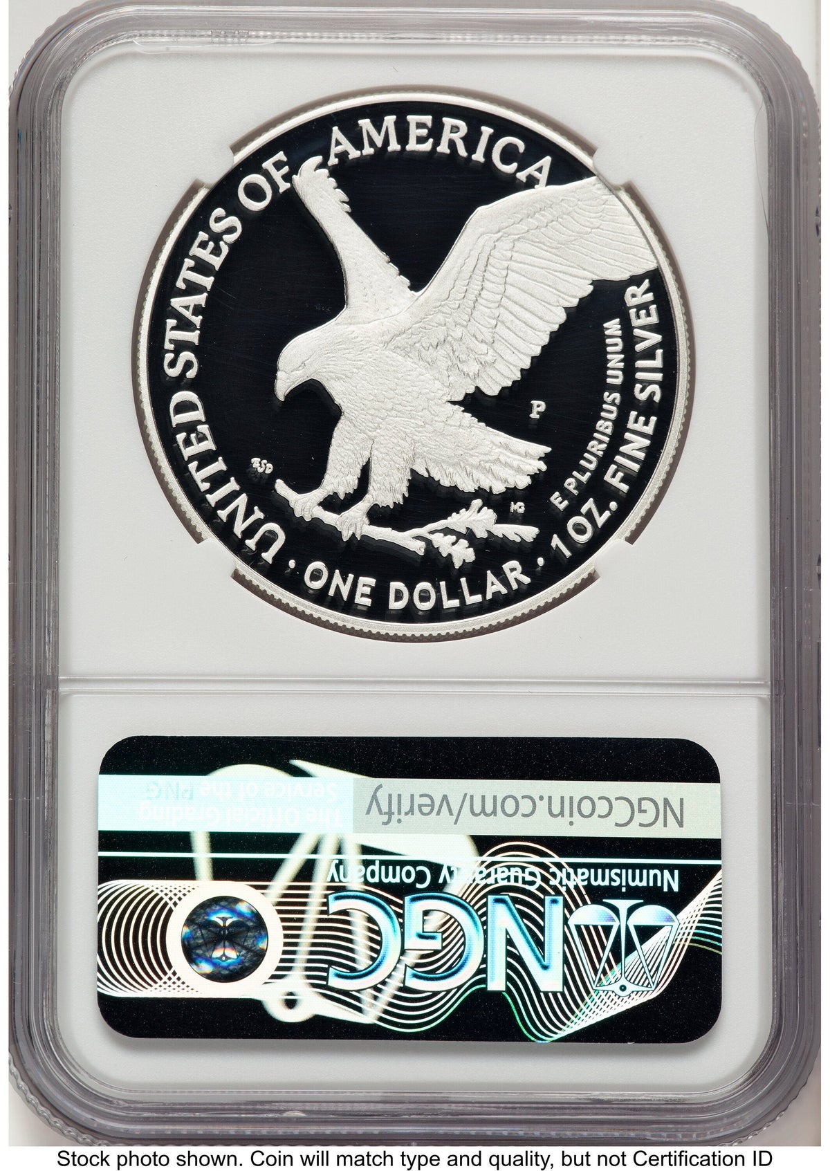 2025-P Proof Silver Eagle Privy U.S. Marine Corps 250th Anniversary 1 oz AR Mike Castle NGC PF70