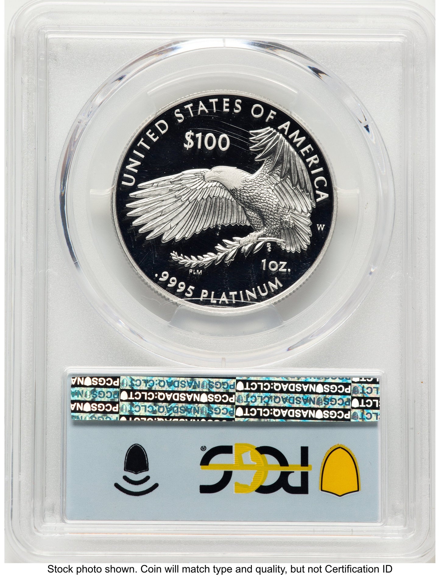 2022-W Proof Platinum Eagle 1 oz FDI Flag PCGS PR70