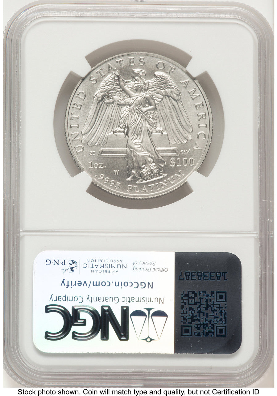 2008-W Burnished Platinum Eagle 1 oz Brown Label NGC MS70