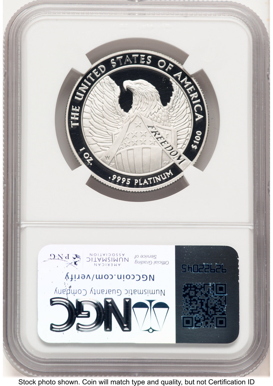2007-W Proof Platinum Eagle 1 oz Brown Label NGC PF70 (784122014)