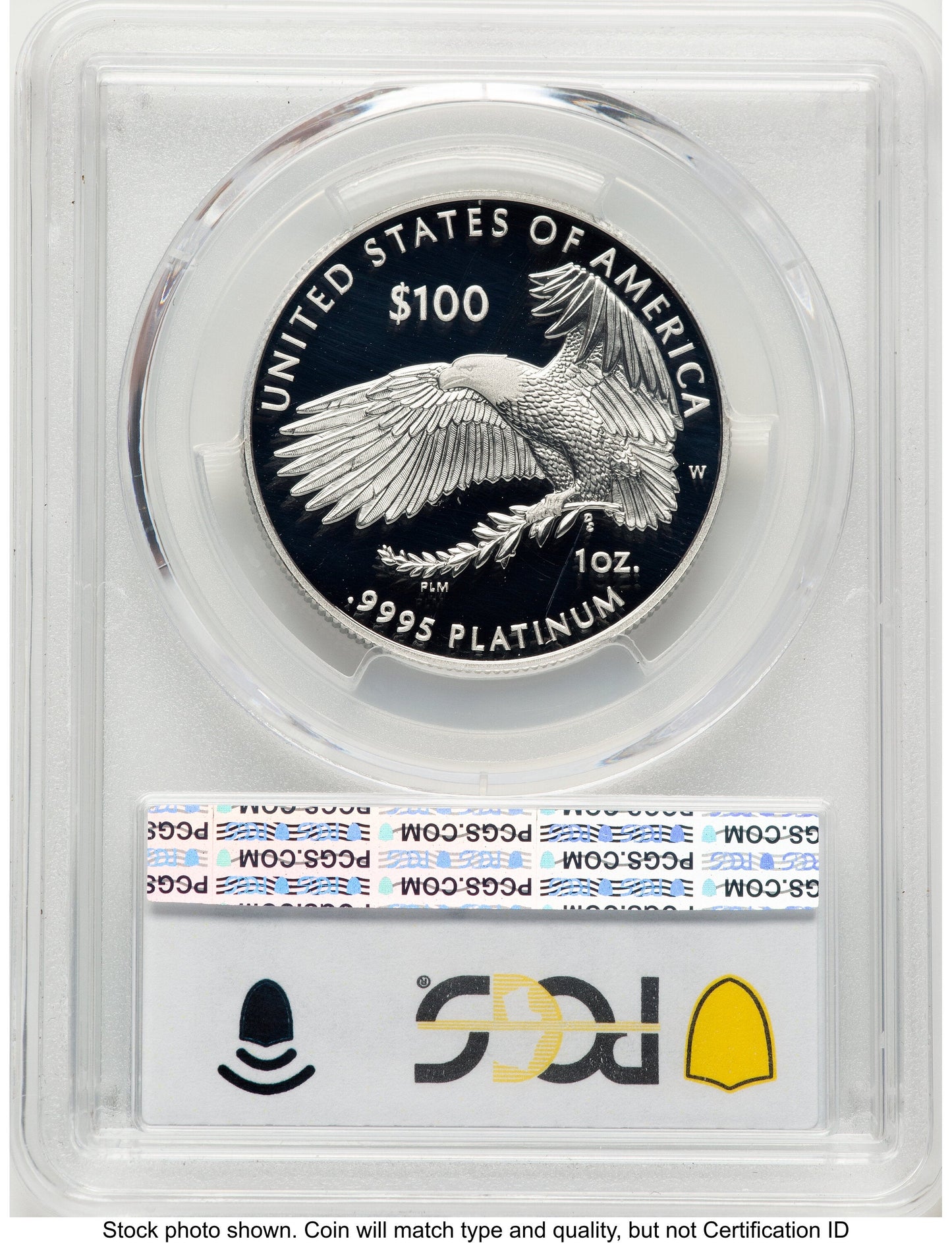 2022-W Proof Platinum Eagle 1 oz Blue Gradient PCGS PR70