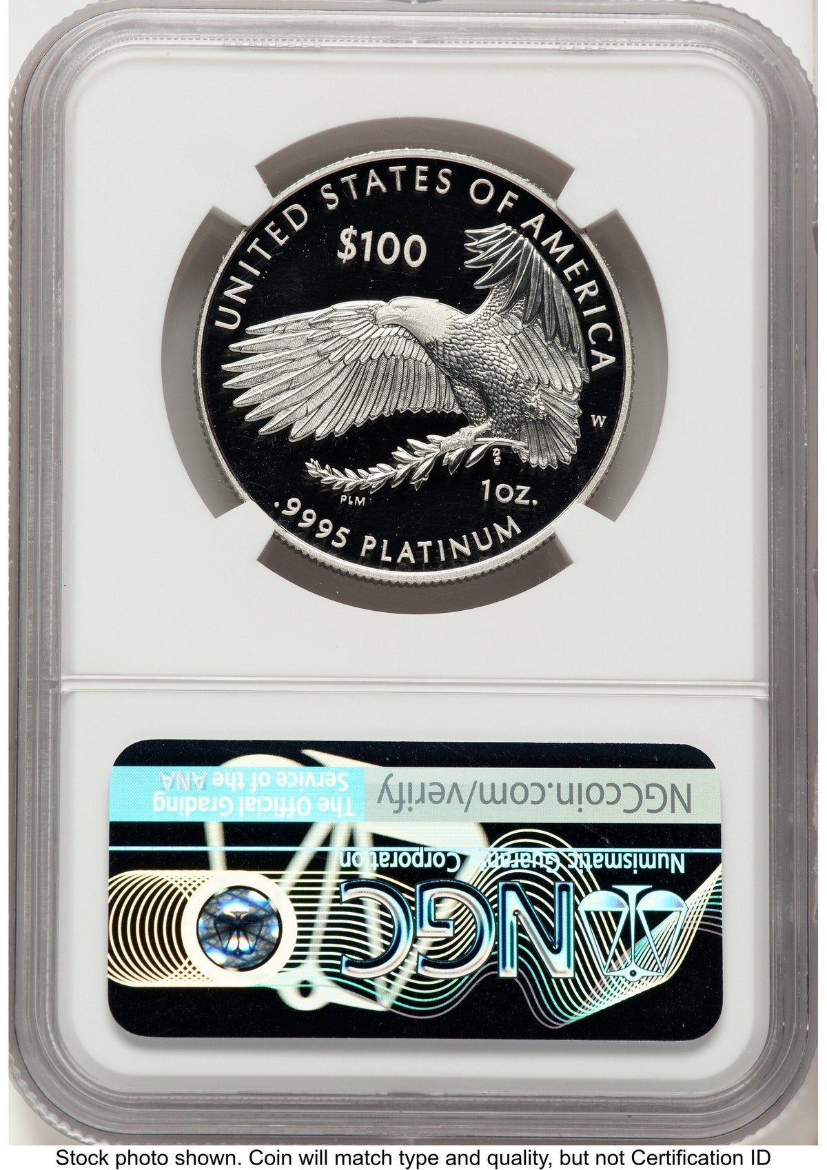 2021-W Proof Platinum Eagle 1 oz Don Everhart NGC PF70
