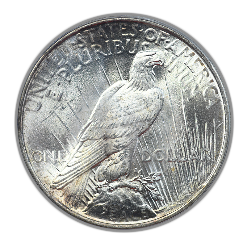 1924 Peace Dollar $1 PCGS MS64 - TONED!