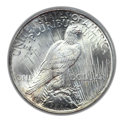 1924 Peace Dollar $1 PCGS MS64 - TONED!