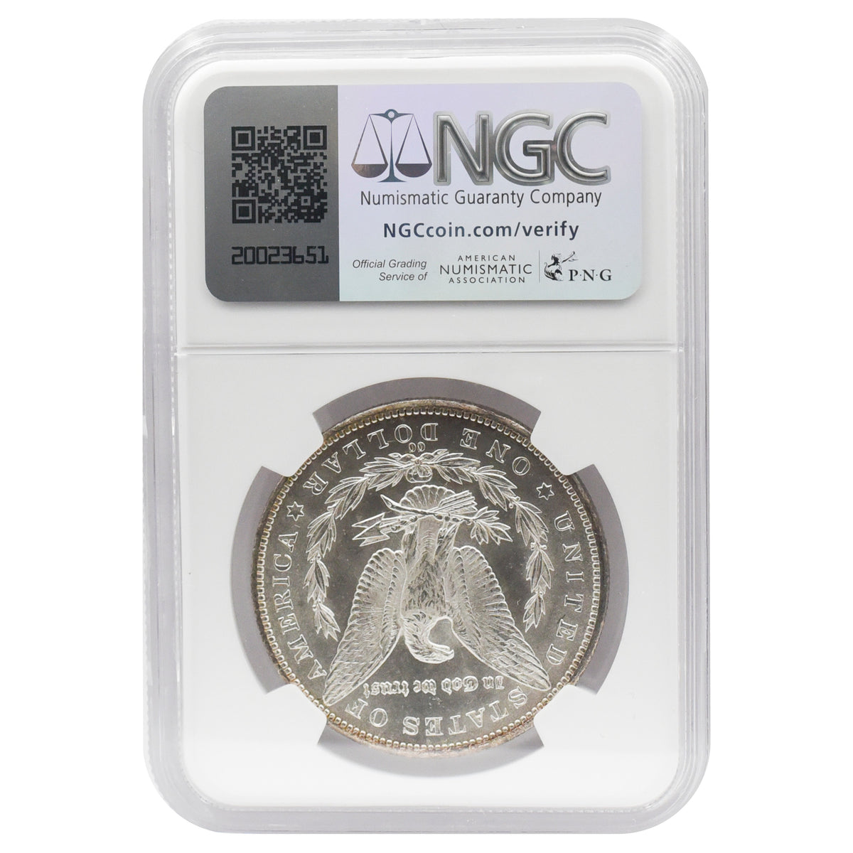 1884-CC Morgan Dollar NGC MS62