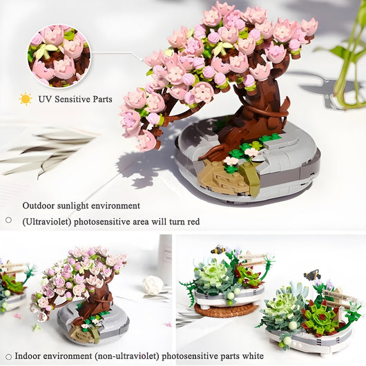Bonsai