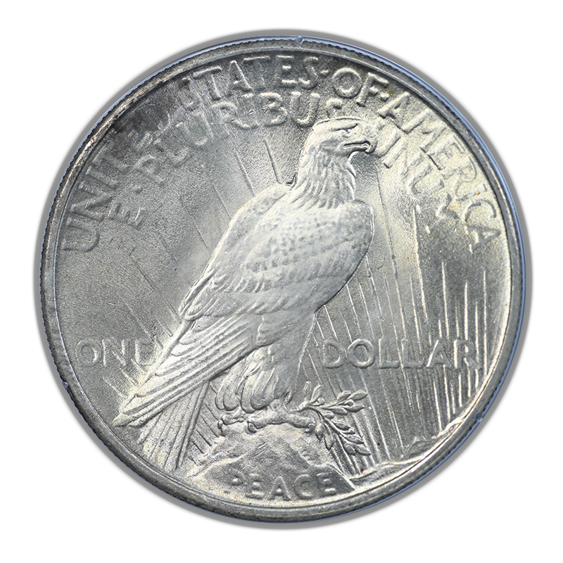 1925 Peace Dollar $1 PCGS Rattler MS63 Gold CAC