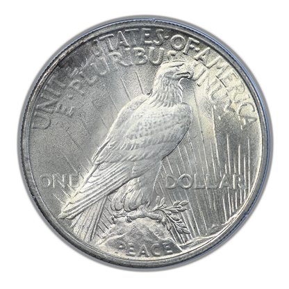 1925 Peace Dollar $1 PCGS Rattler MS63 Gold CAC