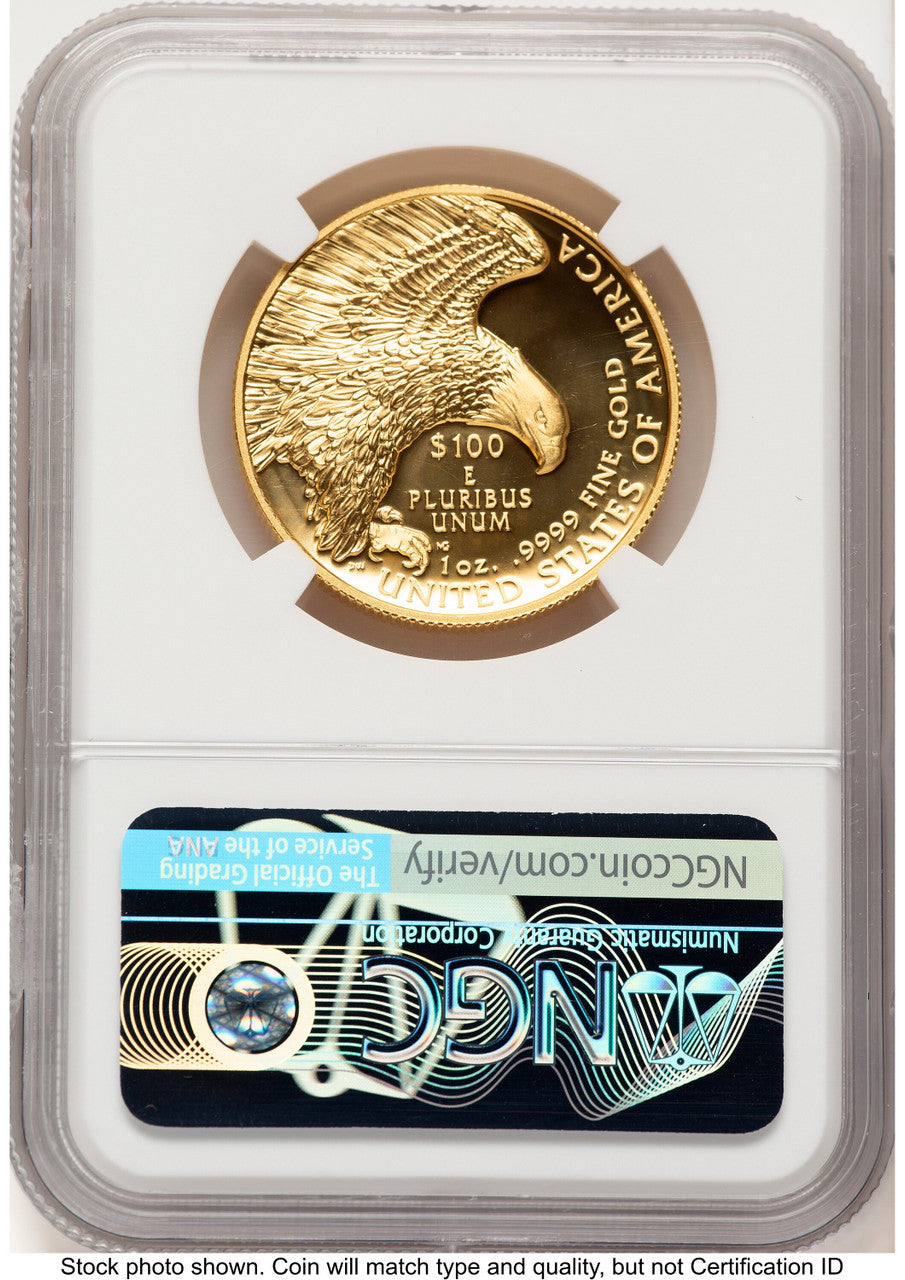 2019-W G$100 American Liberty High Relief Enhanced FDI Mike Castle NGC MS70