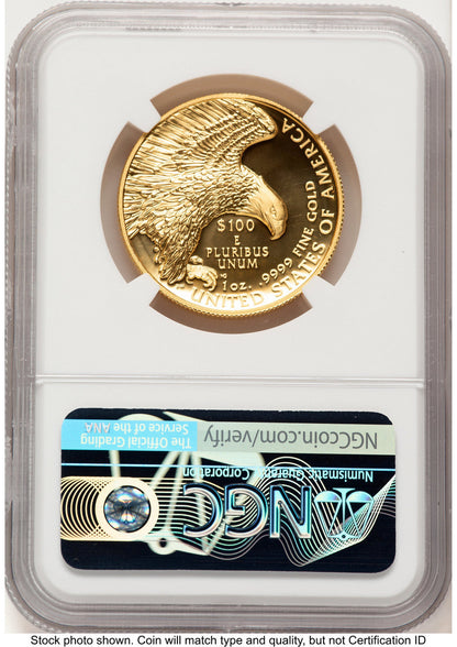 2019-W G$100 American Liberty High Relief Enhanced FDI Mike Castle NGC MS70
