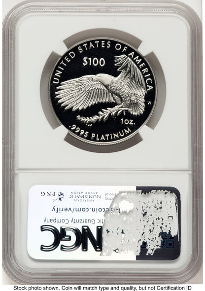 2024-W Proof Platinum Eagle 1 oz Brown Label NGC PF70
