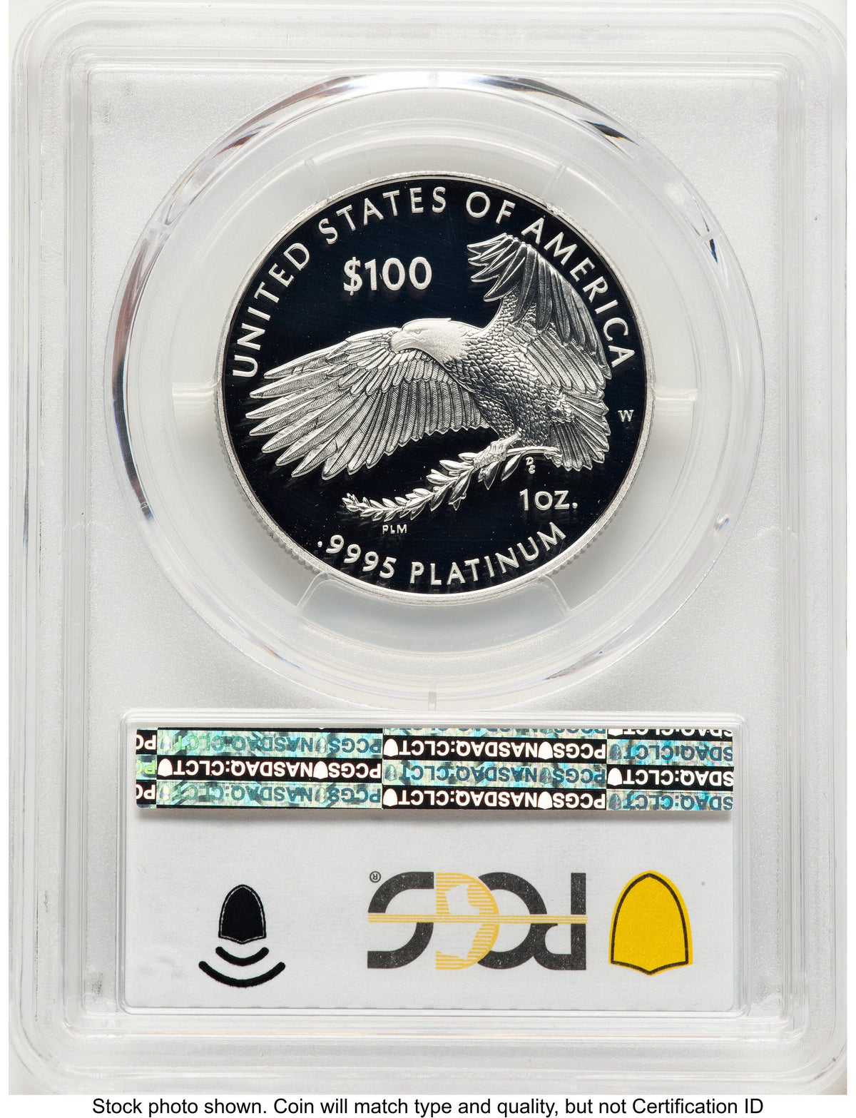 2021-W Proof Platinum Eagle 1 oz Blue Gradient PCGS PR70