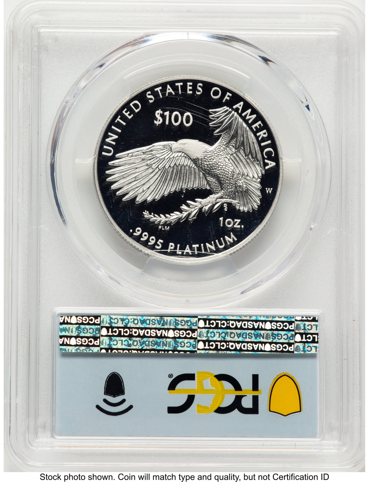 2022-W Proof Platinum Eagle 1 oz FDI Flag PCGS PR70