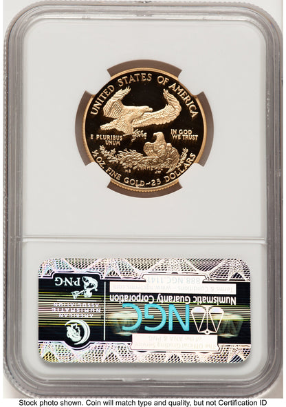 2004-W Proof Gold Eagle 1/2 oz Brown Label NGC PF70