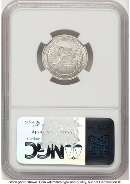 2007-W Burnished Platinum Eagle 1/4 oz Brown Label NGC MS70