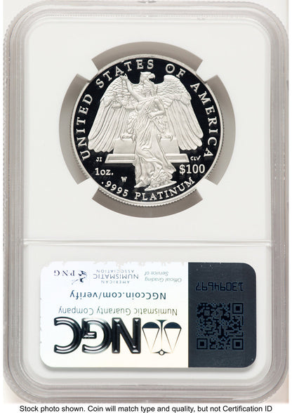 2008-W Proof Platinum Eagle 1 oz Brown Label NGC PF70