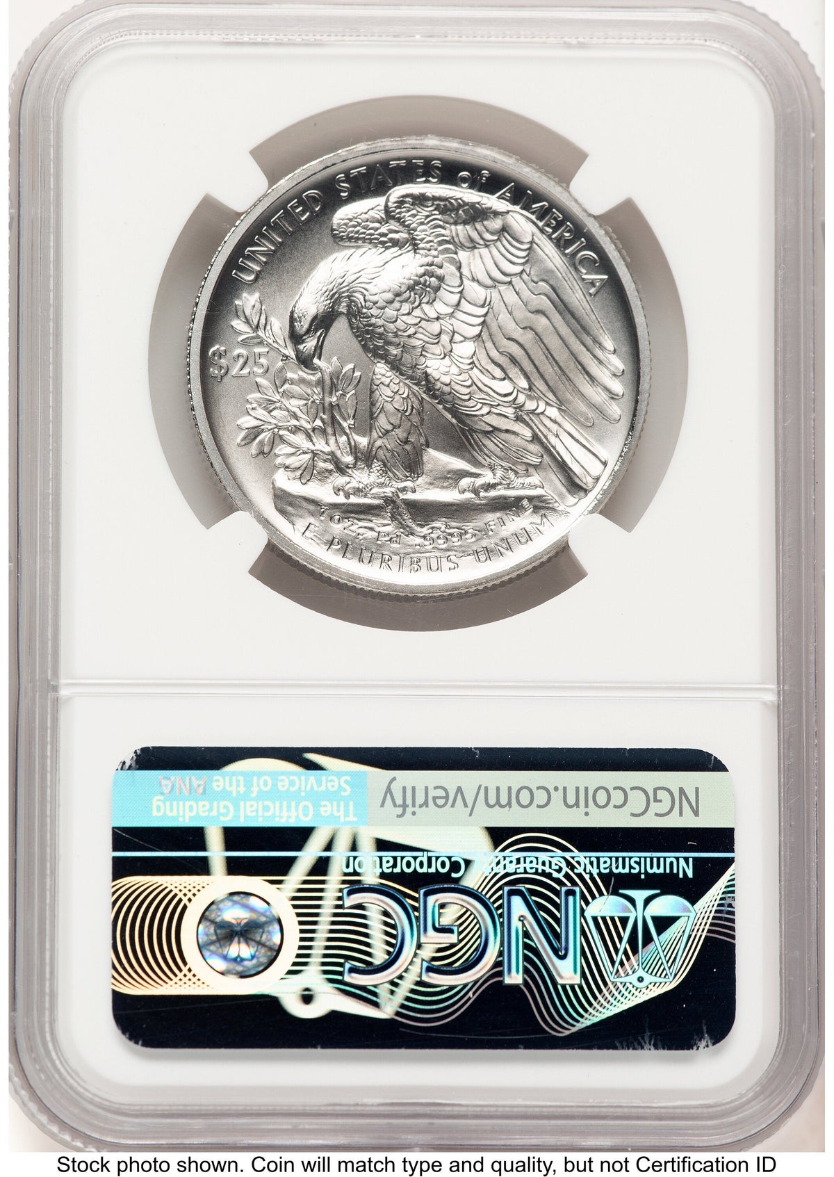 2020-W Palladium Eagle 1 oz Burnished FDI David Motl NGC MS70