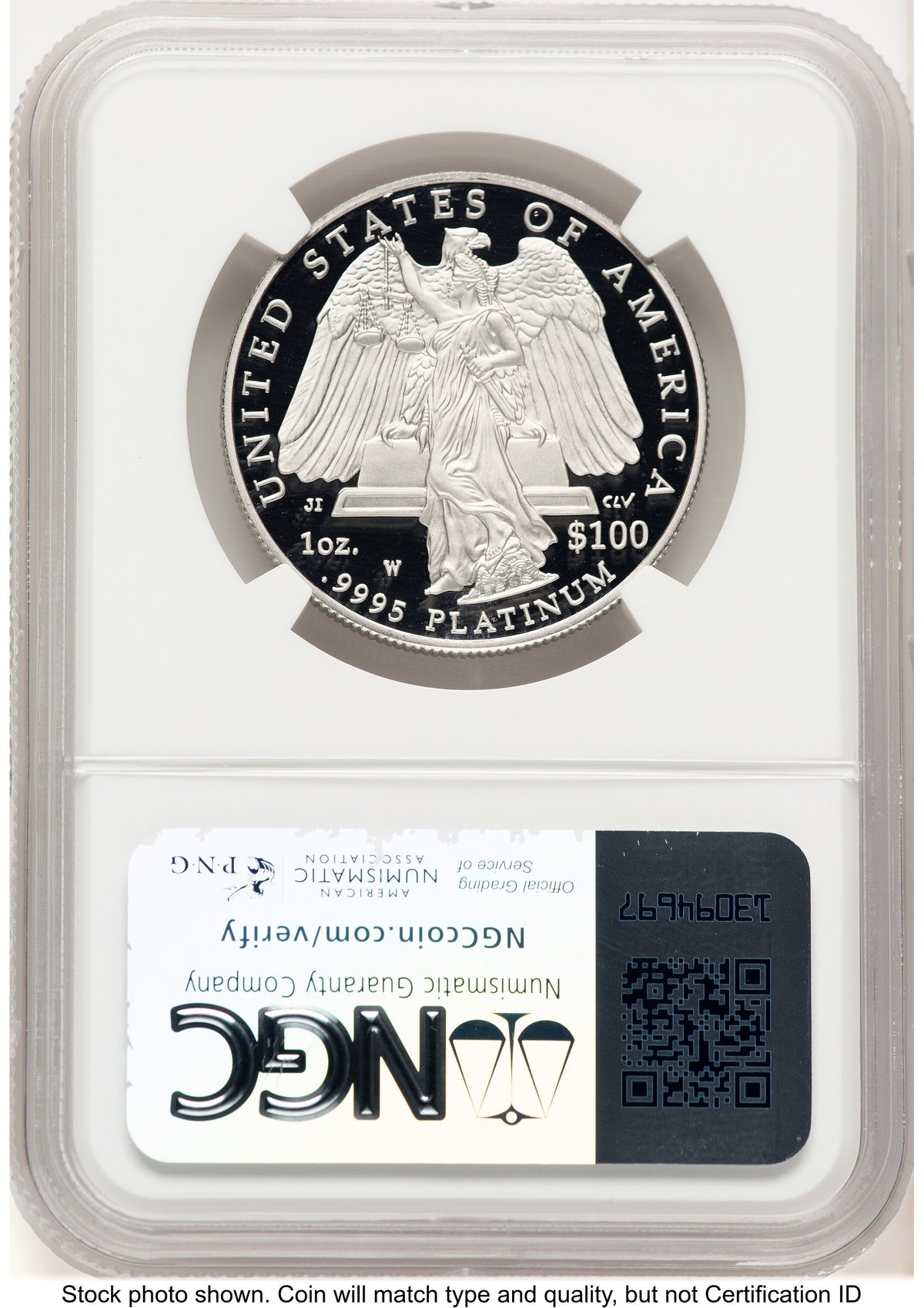 2008-W Proof Platinum Eagle 1 oz Brown Label NGC PF70