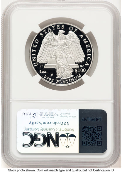 2008-W Proof Platinum Eagle 1 oz Brown Label NGC PF70