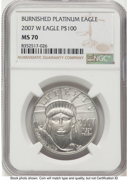 2007-W Burnished Platinum Eagle 1 oz Brown Label NGC MS70
