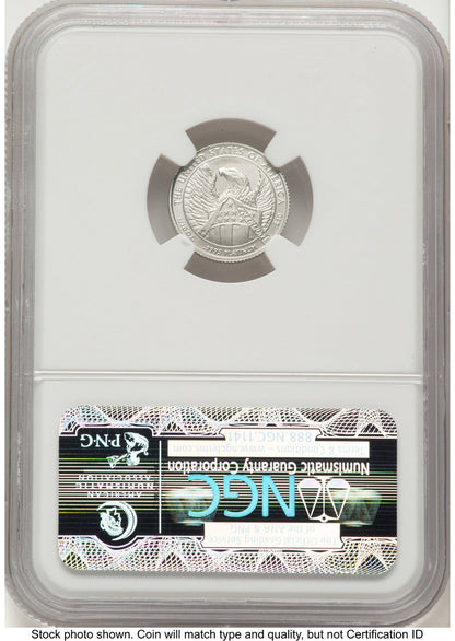 2007-W Burnished Platinum Eagle 1/10 oz Brown Label NGC MS70
