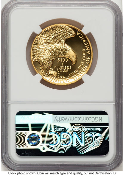 2019-W G$100 American Liberty High Relief Enhanced FDI ANA Mike Castle NGC MS70