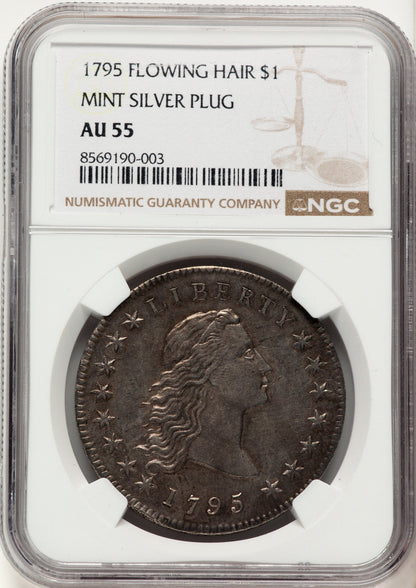 1795 Flowing Hair Silver Plug Early Dollar NGC AU55