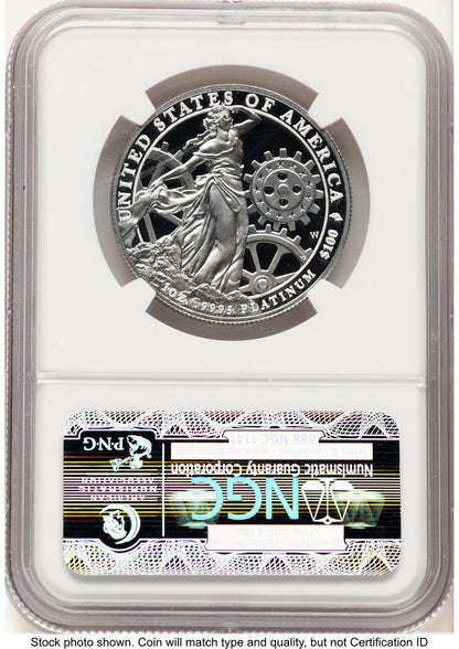 2013-W Proof Platinum Eagle 1 oz ER Blue NGC PF70
