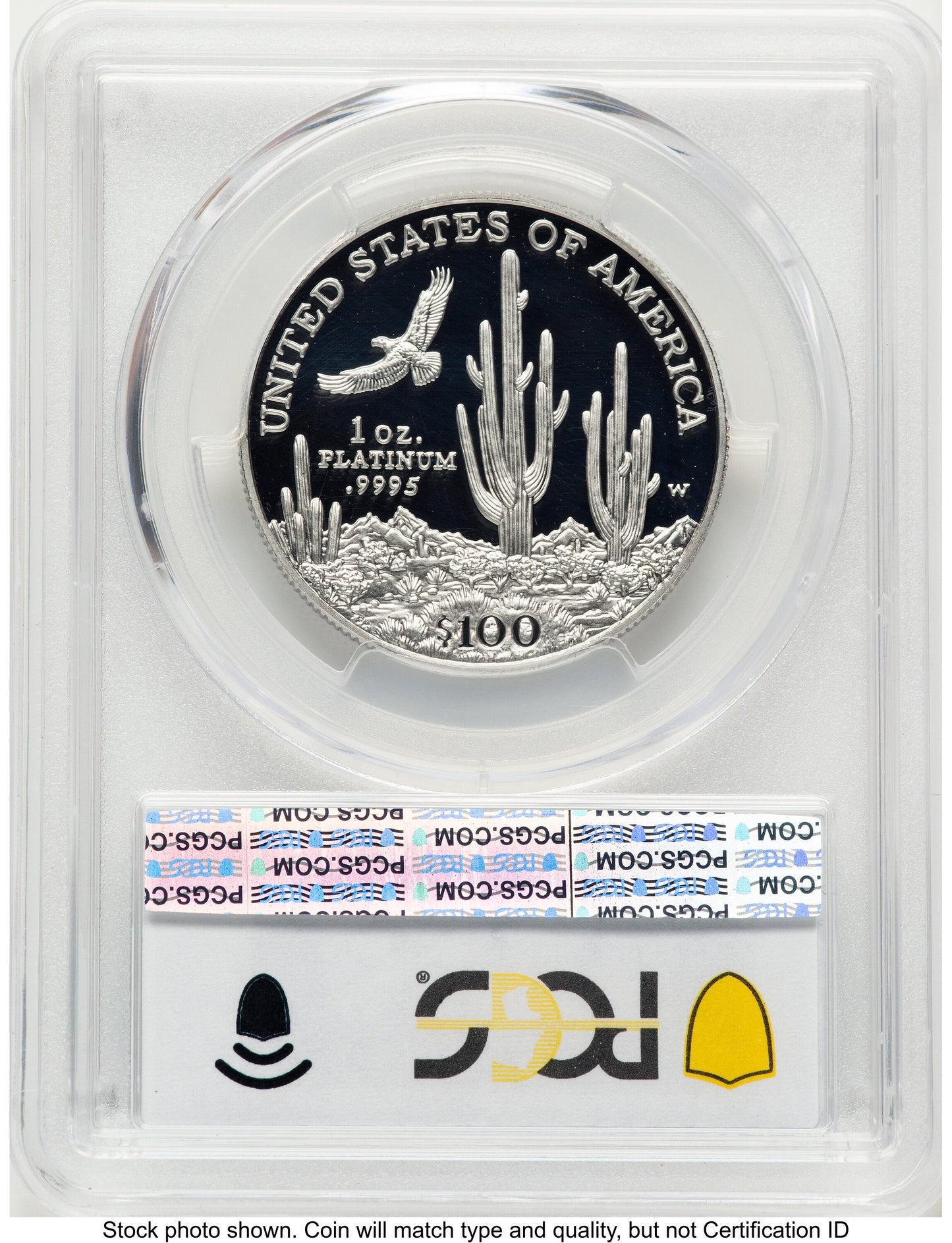 2001-W Proof Platinum Eagle 1 oz Blue Gradient PCGS PR70