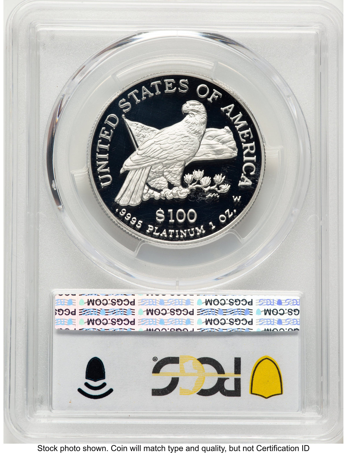 2003-W Proof Platinum Eagle 1 oz Blue Gradient PCGS PR70