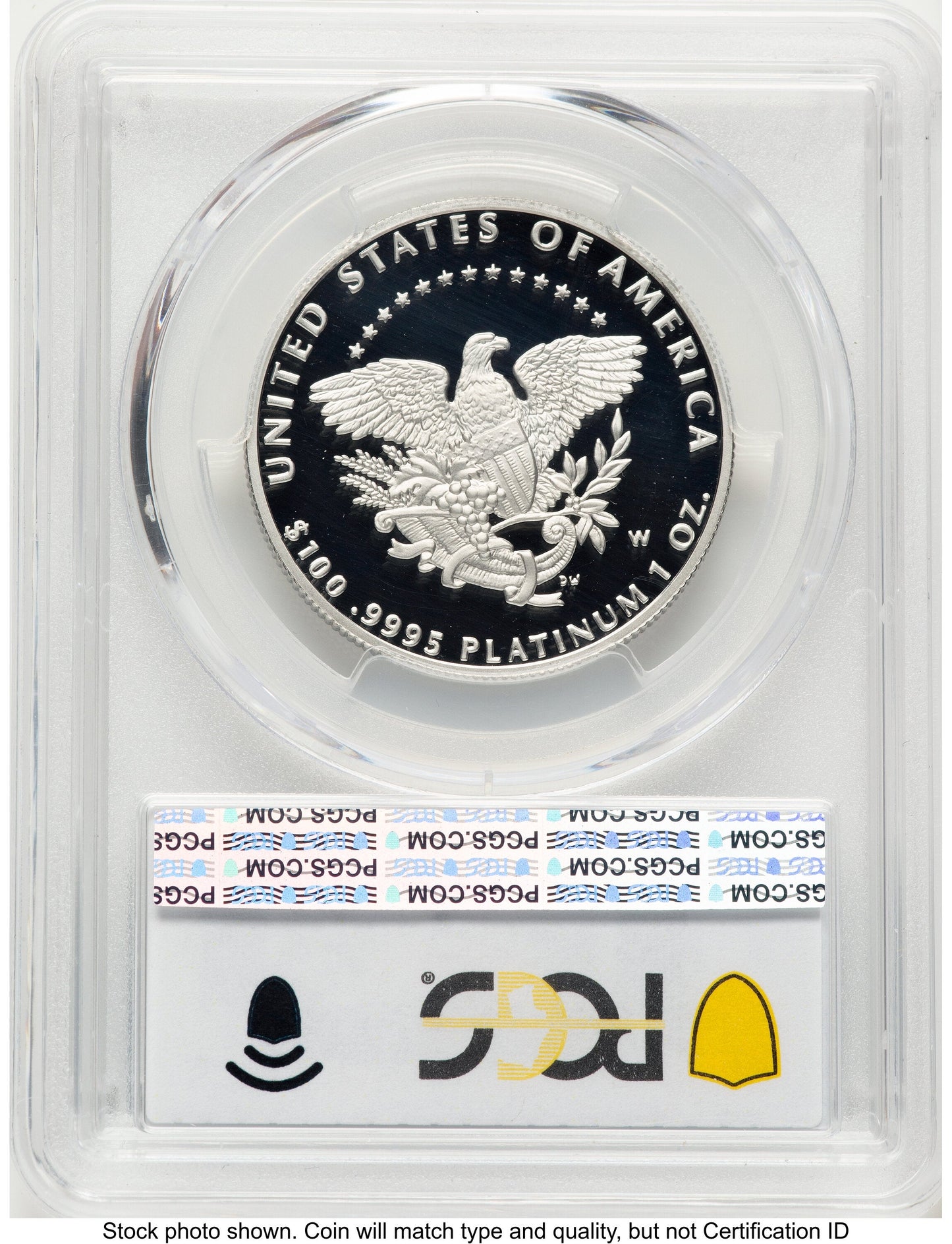 2005-W Proof Platinum Eagle 1 oz Blue Gradient PCGS PR70