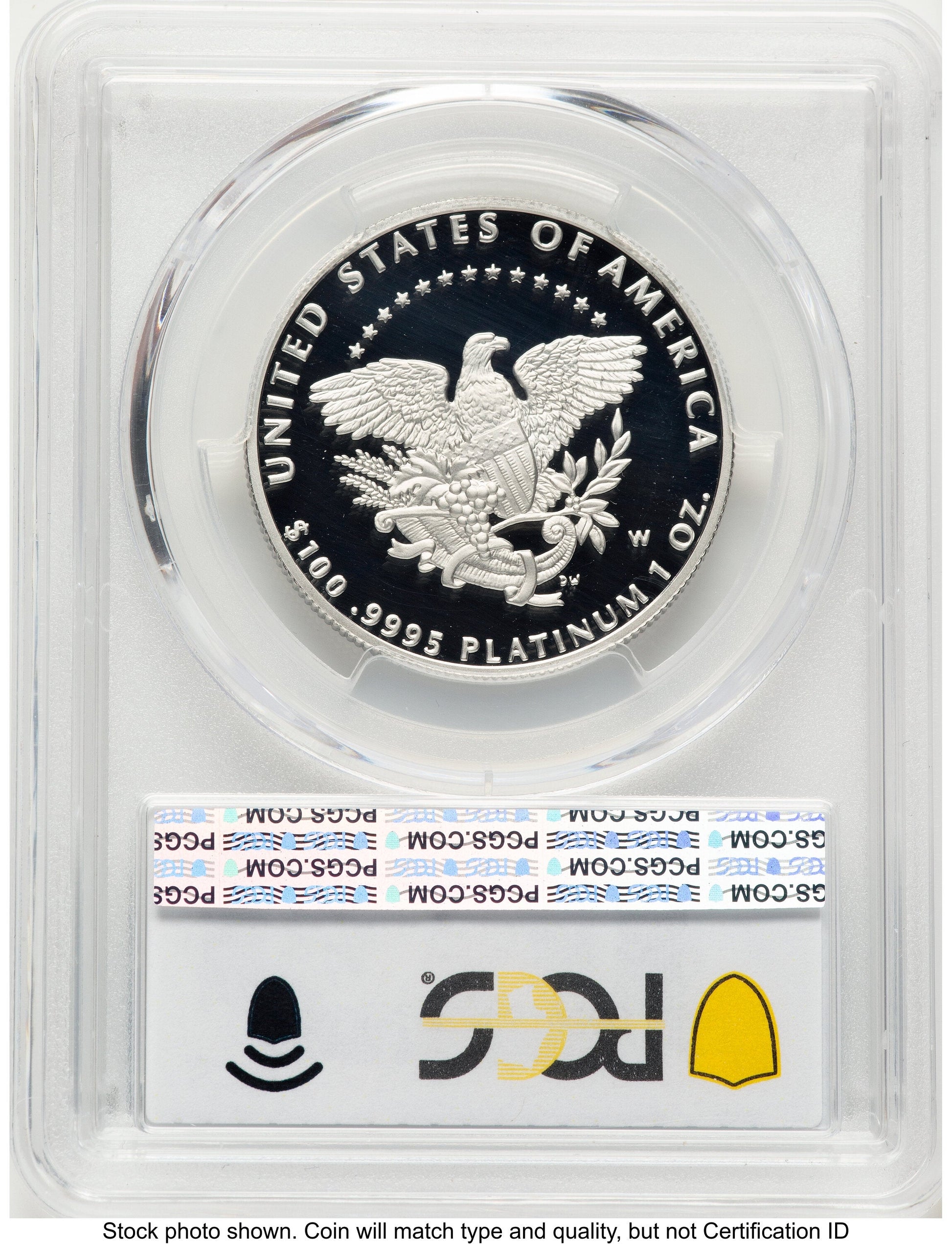 2005-W Proof Platinum Eagle 1 oz Blue Gradient PCGS PR70