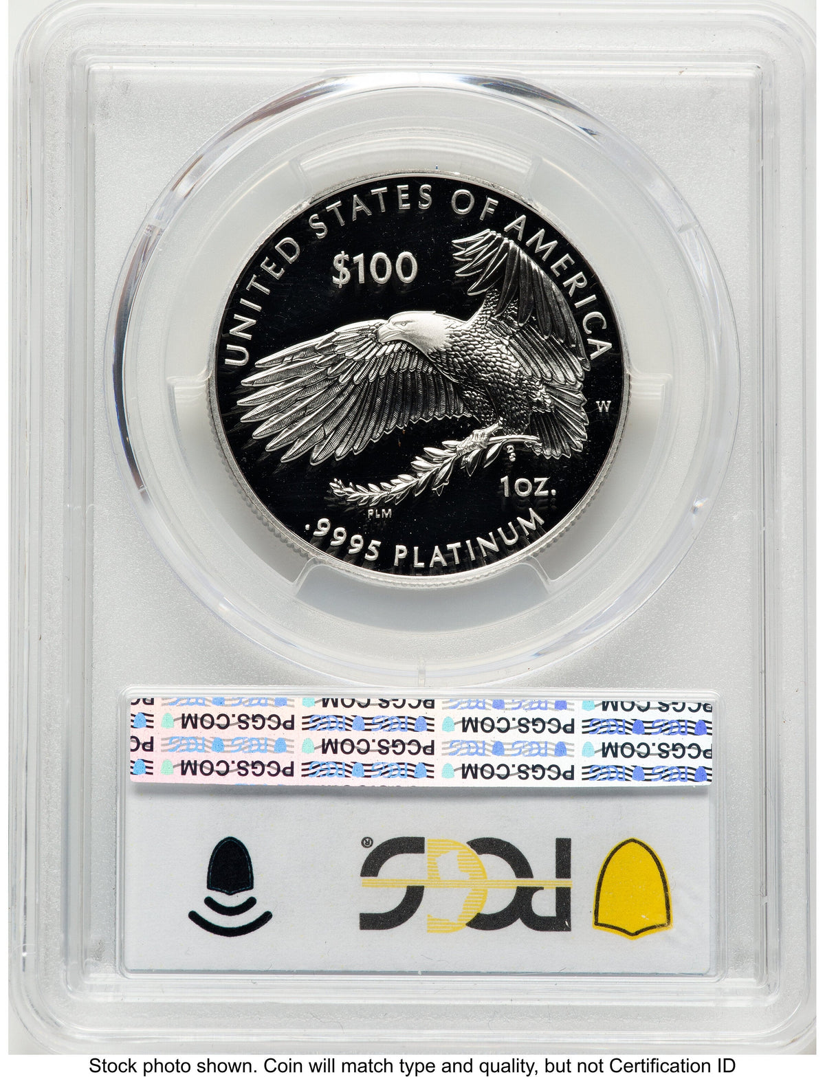 2019-W Proof Platinum Eagle 1 oz Blue Gradient PCGS PR70