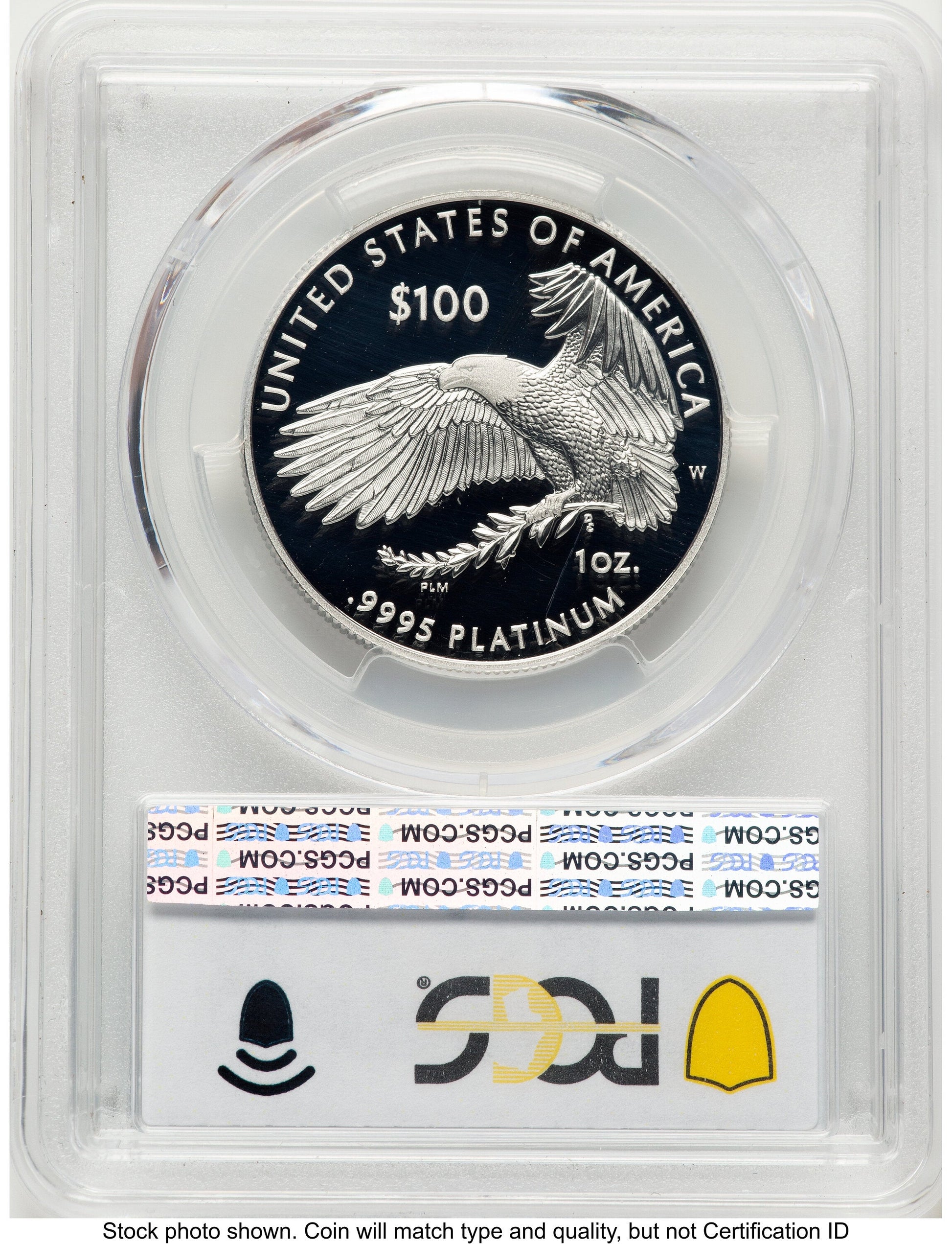 2022-W Proof Platinum Eagle 1 oz Blue Gradient PCGS PR70