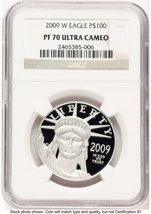 2009-W Proof Platinum Eagle 1 oz Brown Label NGC PF70