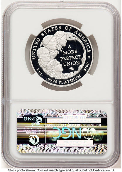 2009-W Proof Platinum Eagle 1 oz Brown Label NGC PF70
