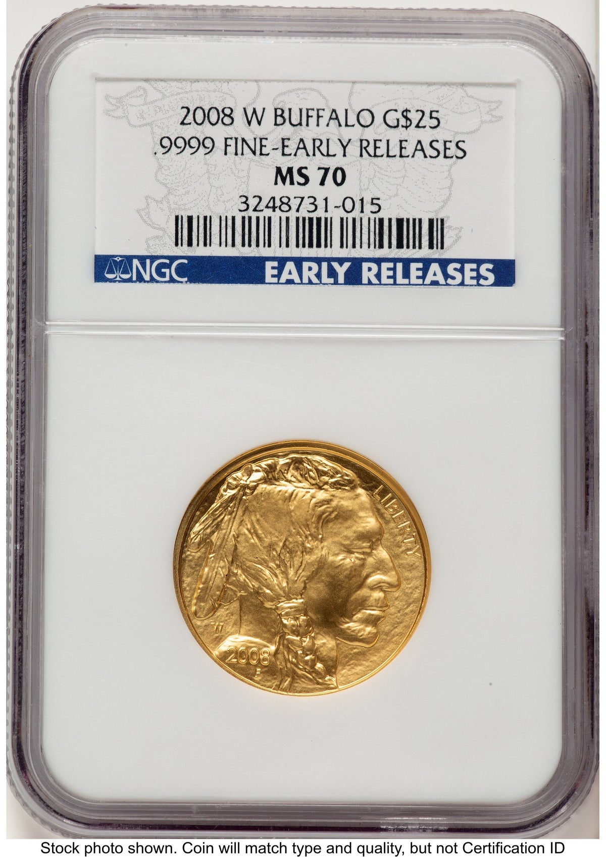 2008-W Burnished Gold Buffalo 1/2 oz ER Blue NGC MS70