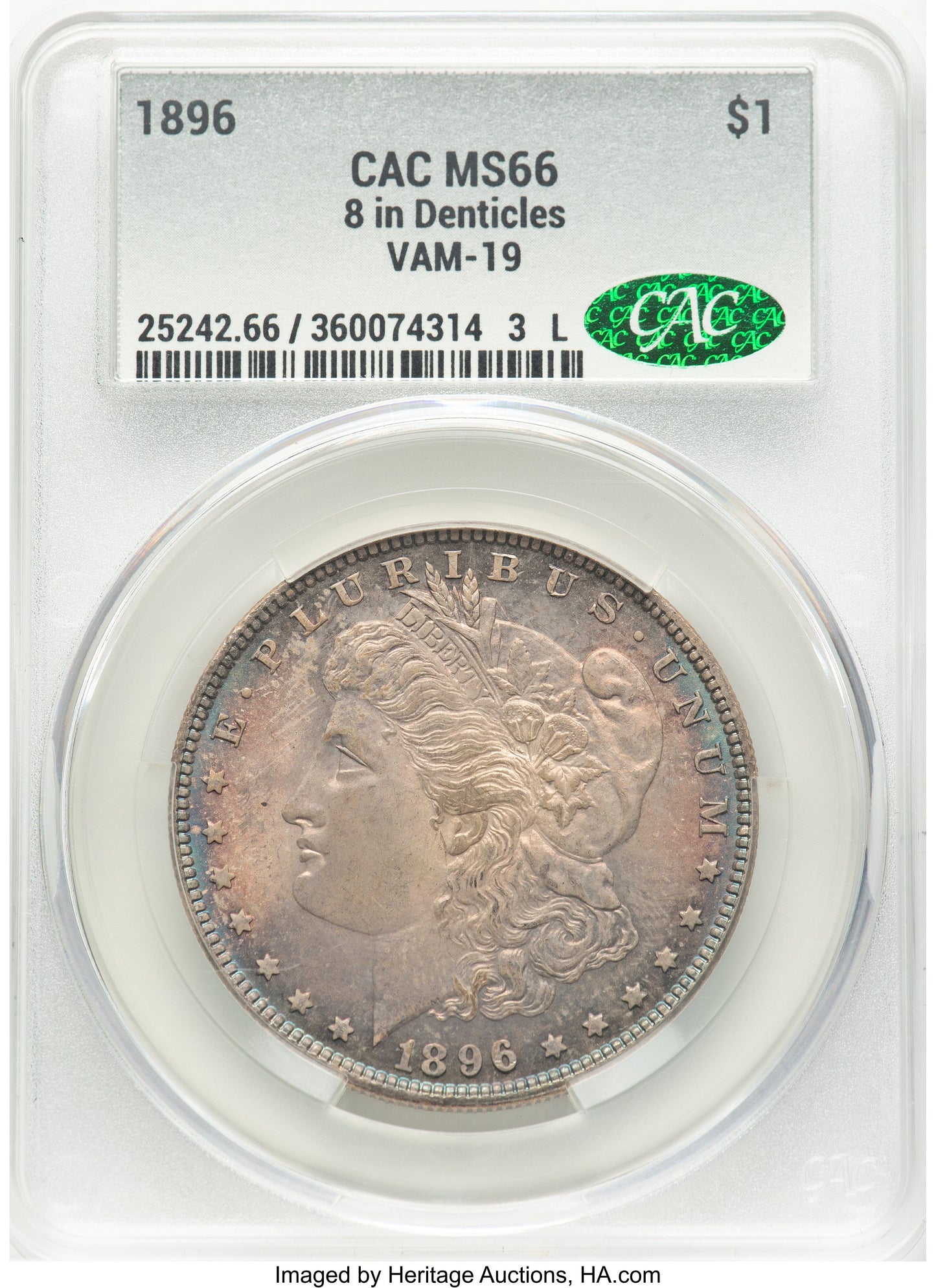 1896 $1 VAM 19 8 in Denticle Morgan Dollar CACG MS66