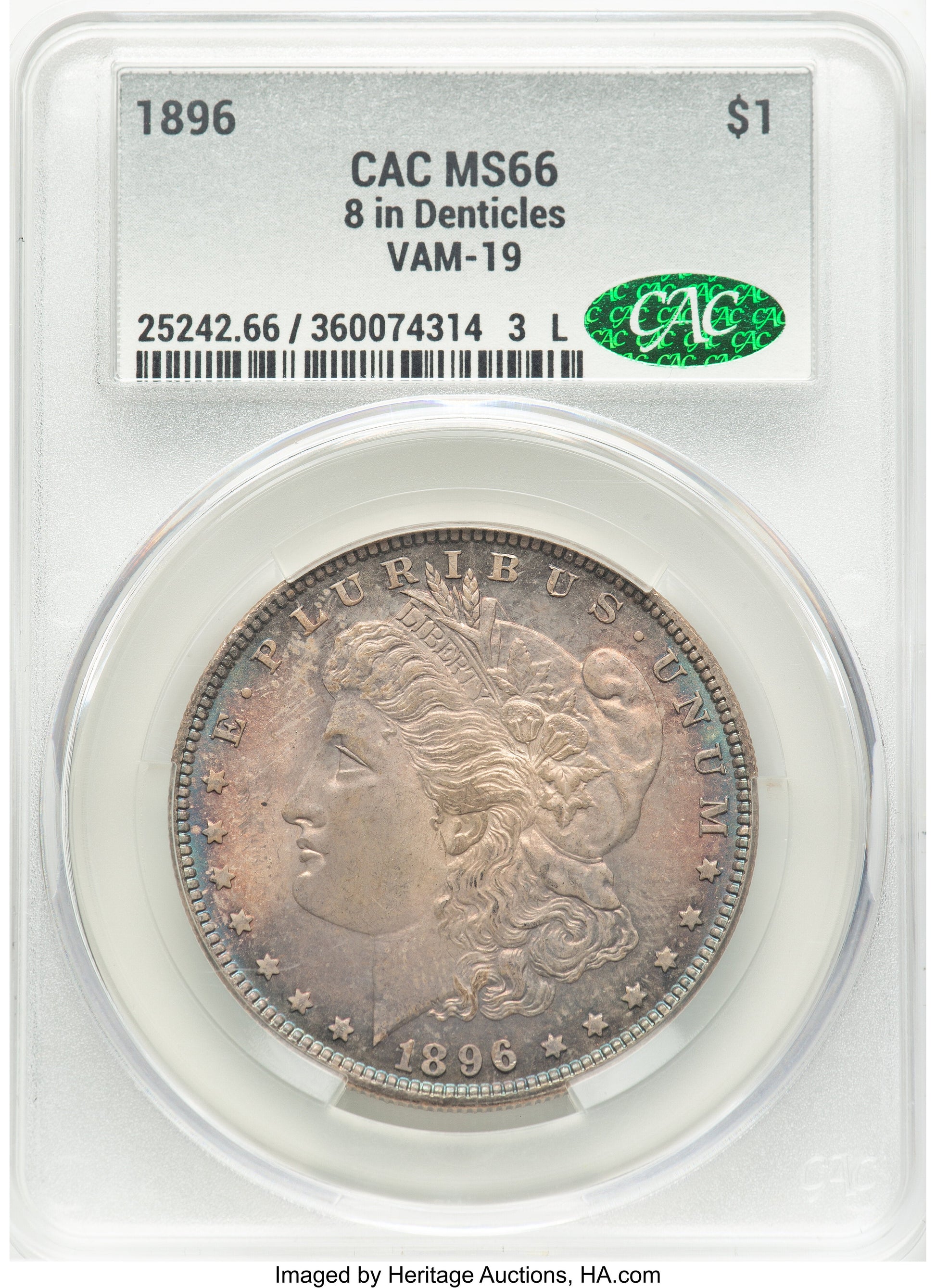 1896 $1 VAM 19 8 in Denticle Morgan Dollar CACG MS66