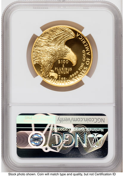 2019-W G$100 American Liberty High Relief Enhanced FDI ANA NGC MS70 Ed Moy