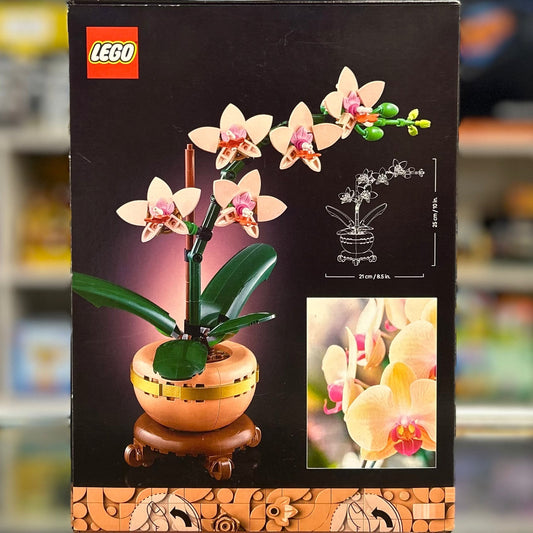 Mini Orchid, 10343 - Botanicals Set